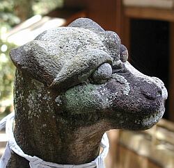 琴平神社の狛犬