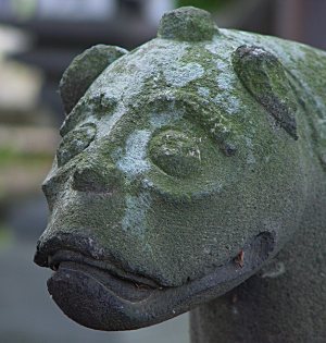柳原神社の狛犬